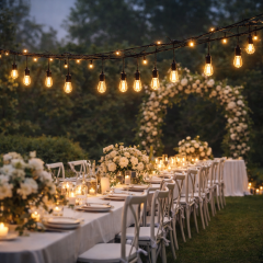 Cata Sarmaşık 10 Ampullü Ledli Dış Mekan Yılbaşı Ağaç ve Bahçe Aydınlatma CT-7071