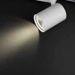 Noas 30W Paris Beyaz Kasa Ray Spot YL29-3001, YL29-3002