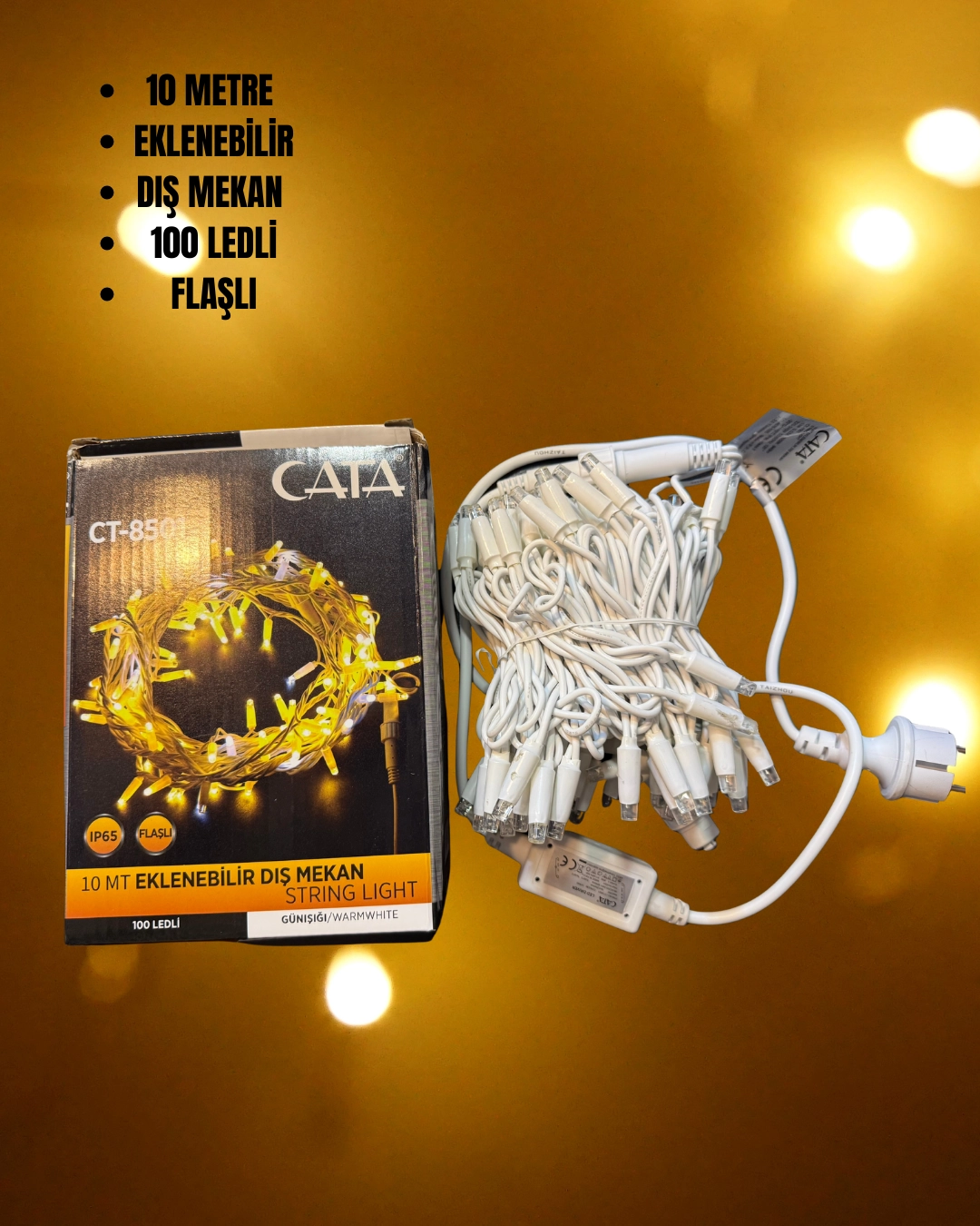 Cata CT-8501 10 Metre Eklenebilir 100 LED'li Flaşlı Dış Mekan Süsleme İp LED - Günışığı IP65