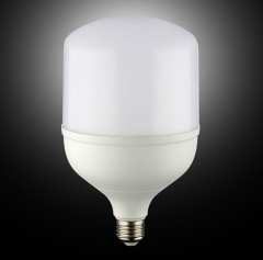 Noas 30W Led Torch Ampul YL95-3001, YL95-3002 Beyaz
