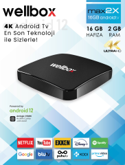 Wellbox Max2 Android Tv Box Tvbox Iptv Media Player 2gb Ram 16GB Hafıza Android 12