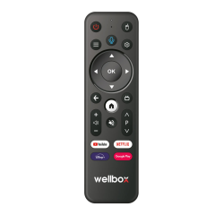 Wellbox Max3 Android Tv Box Tvbox Iptv Media Player 2gb Ram 16GB Hafıza Android 12