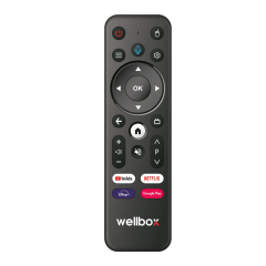 Wellbox Max4 Android Tv Box Tvbox Iptv Media Player 4gb Ram 32GB Hafıza Android 12