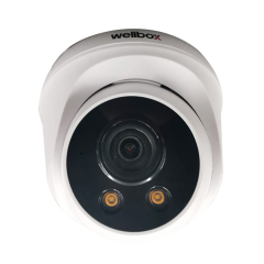 Wellbox 2mp AHD İç Mekan Dome Kamera WB-D2116P-STR
